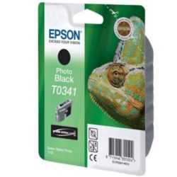 Epson Chameleon T0341 Ultrachrome Ink, Ink Cartridge, Photo Black Single Pack, C13T03414010